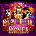 Beautiful Bones screenshot