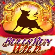 Bulls Run Wild screenshot