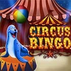 Circus Bingo screenshot